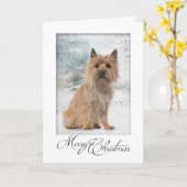 Carte de Cairn Terrier (Fleur jaune)