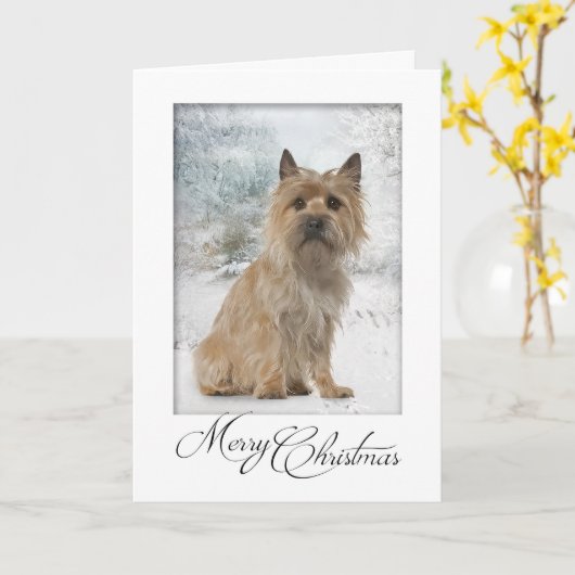 Carte de Cairn Terrier (Fleur jaune)