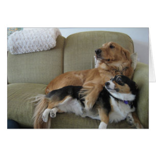 Carte de câlins de chiens Retriever doré mignon Co