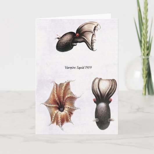 Carte de calmar de vampire (Devant)