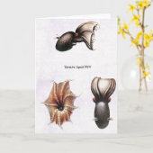 Carte de calmar de vampire (Fleur jaune)