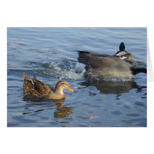 Carte de canard (Devant horizontal)