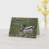 Carte de canard de Mallard de joyeux anniversaire (Fleur jaune)