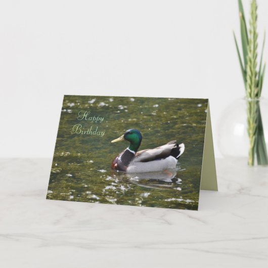 Carte de canard de Mallard de joyeux anniversaire (Devant)