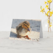 Carte de caneton de canard de bébé (Fleur jaune)