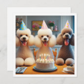 Carte de caniche, Fête de chien, Fête de chien, Fê (Devant / Derrière)