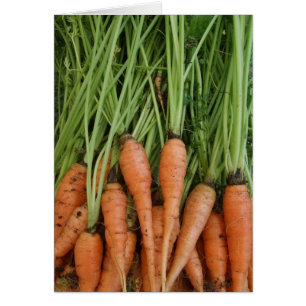 Carte de carotte