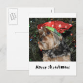 Carte de carte postale de Yorkshire Terrier de (Devant / Derrière)