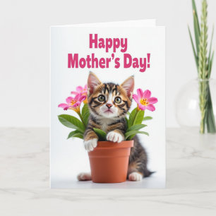 Carte de célébration de chaton rayé