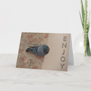 carte de célébration de pigeon