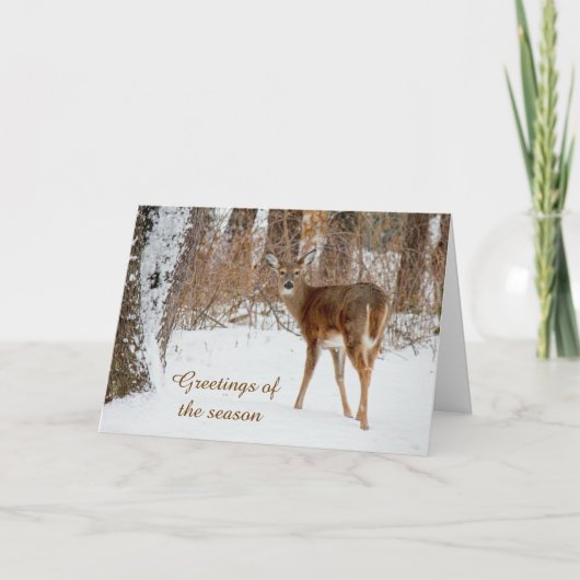 Carte de cerf de Noël blanc Joyeuses Fêtes (Devant)