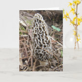 Carte de champignons Morel (Fleur jaune)