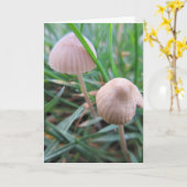 Carte de champignons vide (Fleur jaune)
