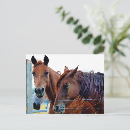 Carte de changement d'adresse (Debout devant)