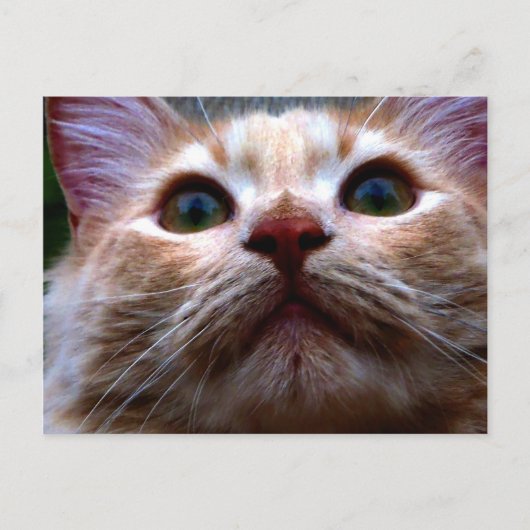 Carte de Changement d'Adresse (Devant)