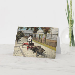 Carte de chariot d'alligator