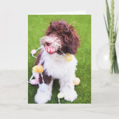 Carte de chasse aux oeufs de Pâques Cute Labradood (Devant)