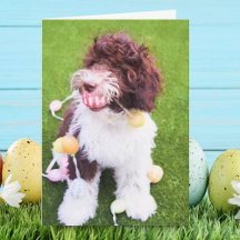 Carte de chasse aux œufs de Pâques Labradoodle mig