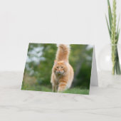 Carte de chat (Devant)