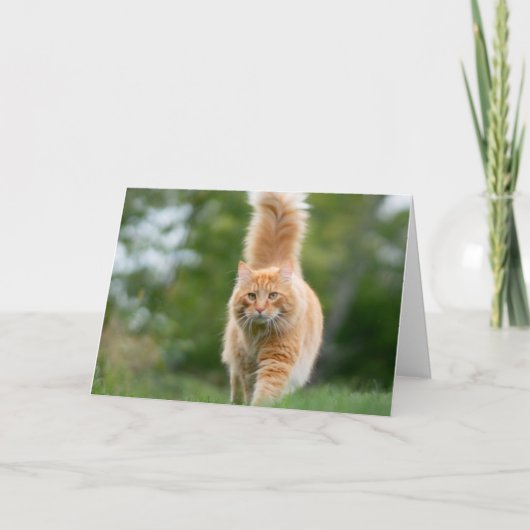 Carte de chat (Devant)