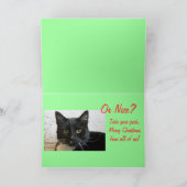 Carte de chat coquine ou Nice (Intérieur)
