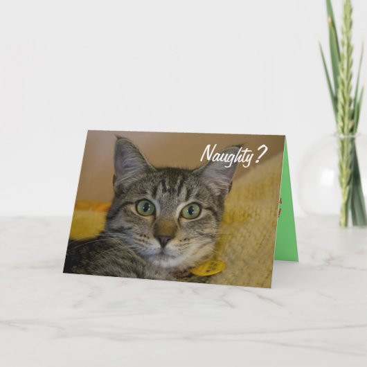 Carte de chat coquine ou Nice (Devant)