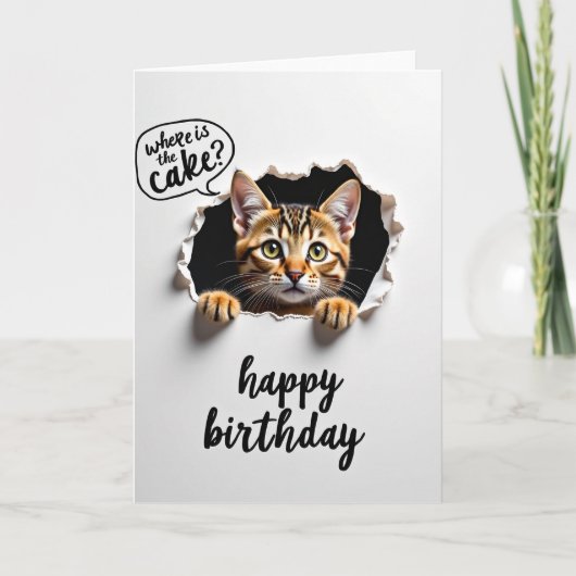 Carte de chat curieux doux (Devant)