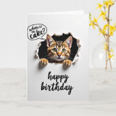 Carte de chat curieux doux (Fleur jaune)