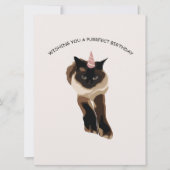 Carte de chat d'anniversaire (Devant)