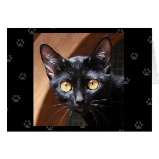 Carte de chat de Bombay de délivrance de chat de