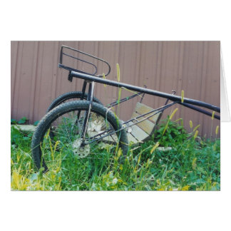 Carte de chat de grange