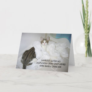 Carte de chat de LOL