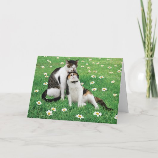 Carte de chat de mariage drôle mignonne meilleure (Devant)