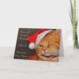 Carte de chat de Noël