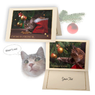 Carte de chat de Noël humoristique