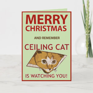 Carte de chat de plafond de Noël