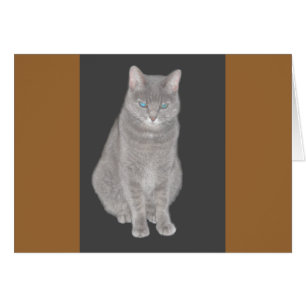 Carte de chat gris