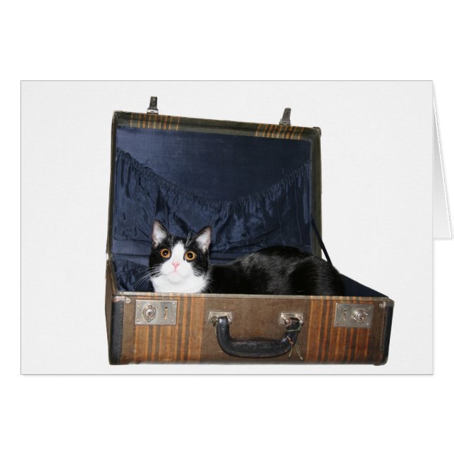 Carte de chat itinérant (Devant horizontal)