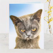 CARTE DE CHAT MIGNON TRISTE DE TE MANQUER (Fleur jaune)