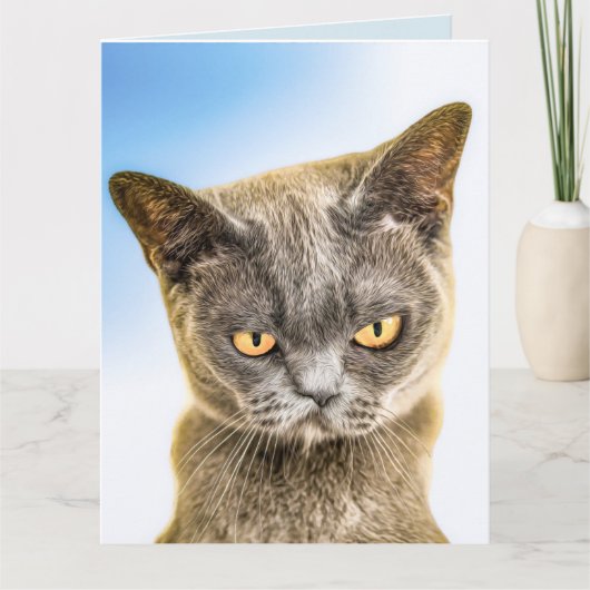 CARTE DE CHAT MIGNON TRISTE DE TE MANQUER (Devant)