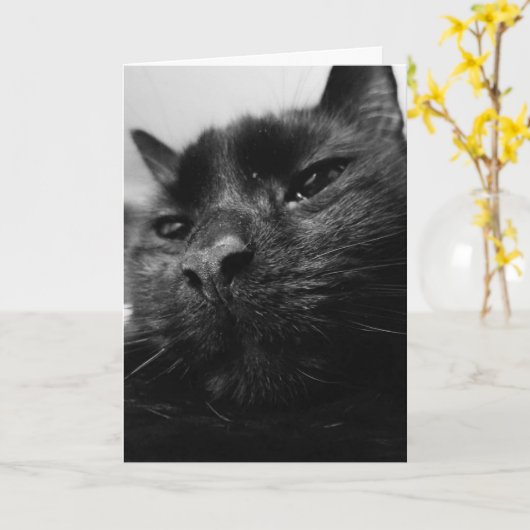 Carte de chat noir (Fleur jaune)