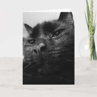 Carte de chat noir