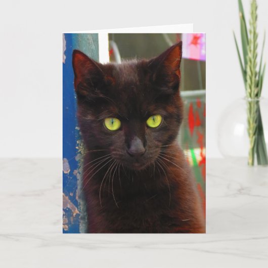 Carte de chat noir adorable (Devant)