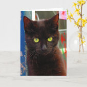 Carte de chat noir adorable (Fleur jaune)
