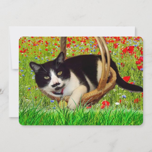 Carte de chat noir en smoking mignon (Devant)