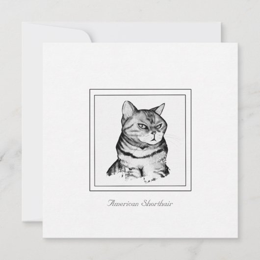 Carte de chat noir et blanc à aire courte américai (Devant)