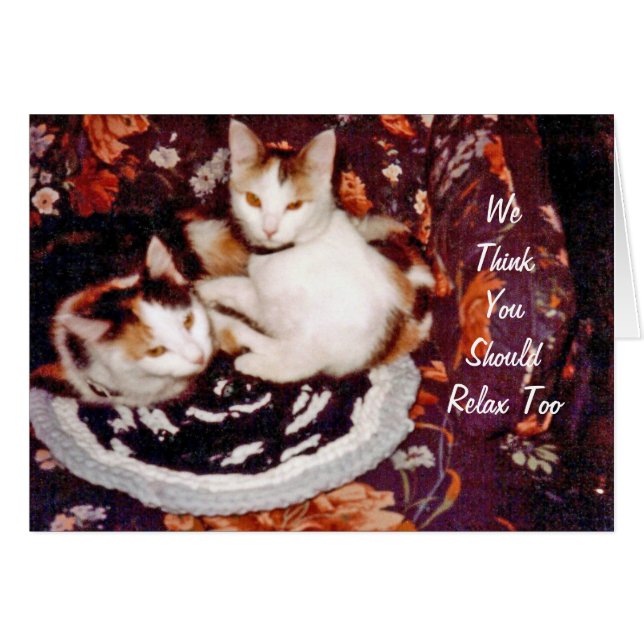 Carte de chat pensant (Devant horizontal)