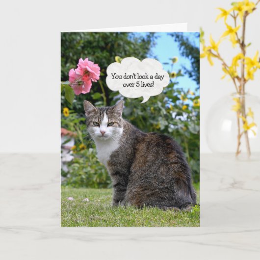 Carte de chat Tabby Anniversaire (Fleur jaune)