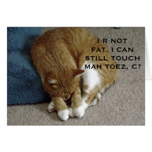 Carte de chat Tabby Orange Humoristique