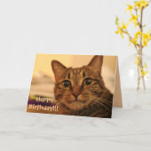 Carte de chat tigré de joyeux anniversaire (Fleur jaune)